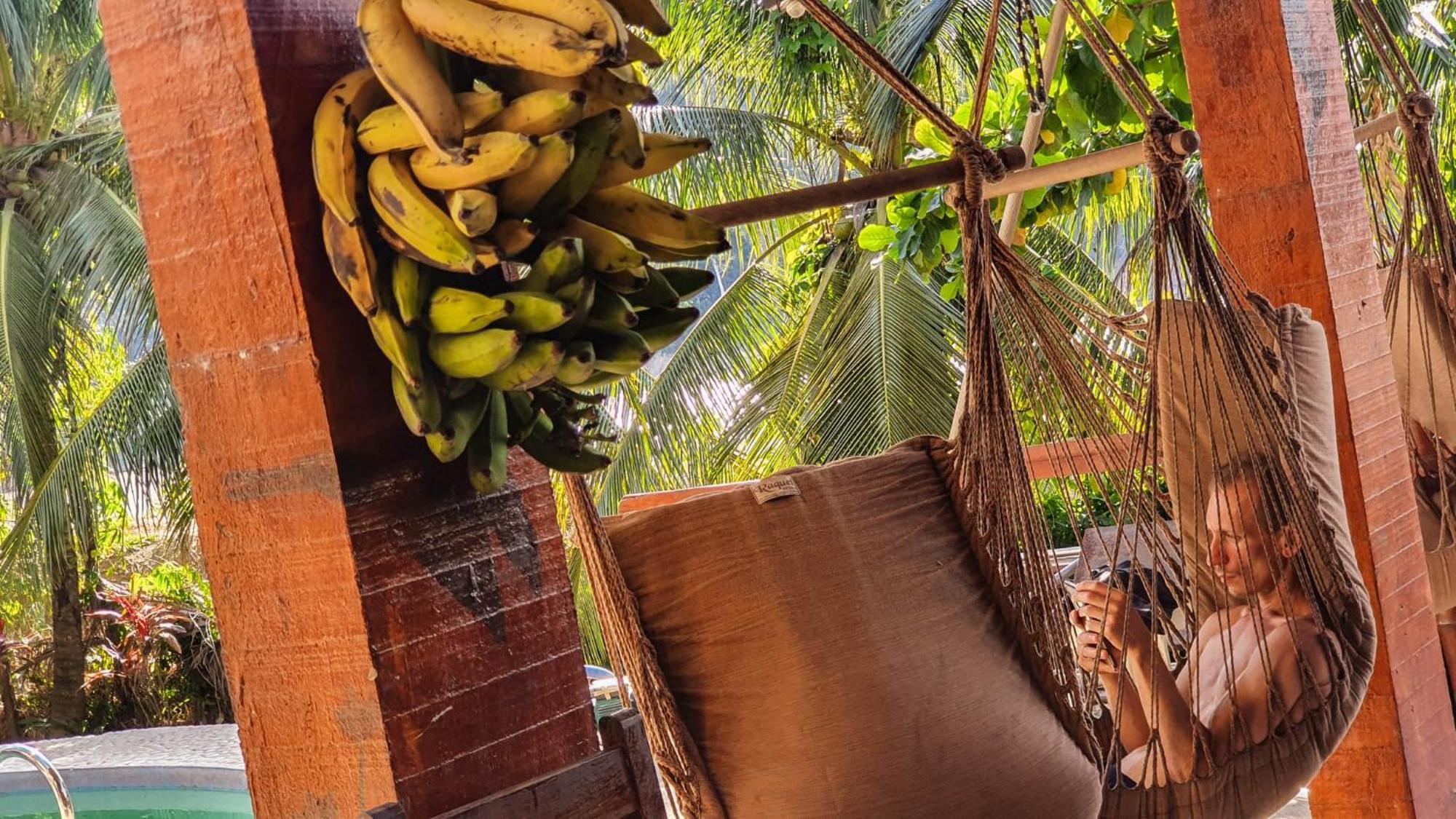 Lobo Hostel - Rurrenabaque (Adults Only) Εξωτερικό φωτογραφία