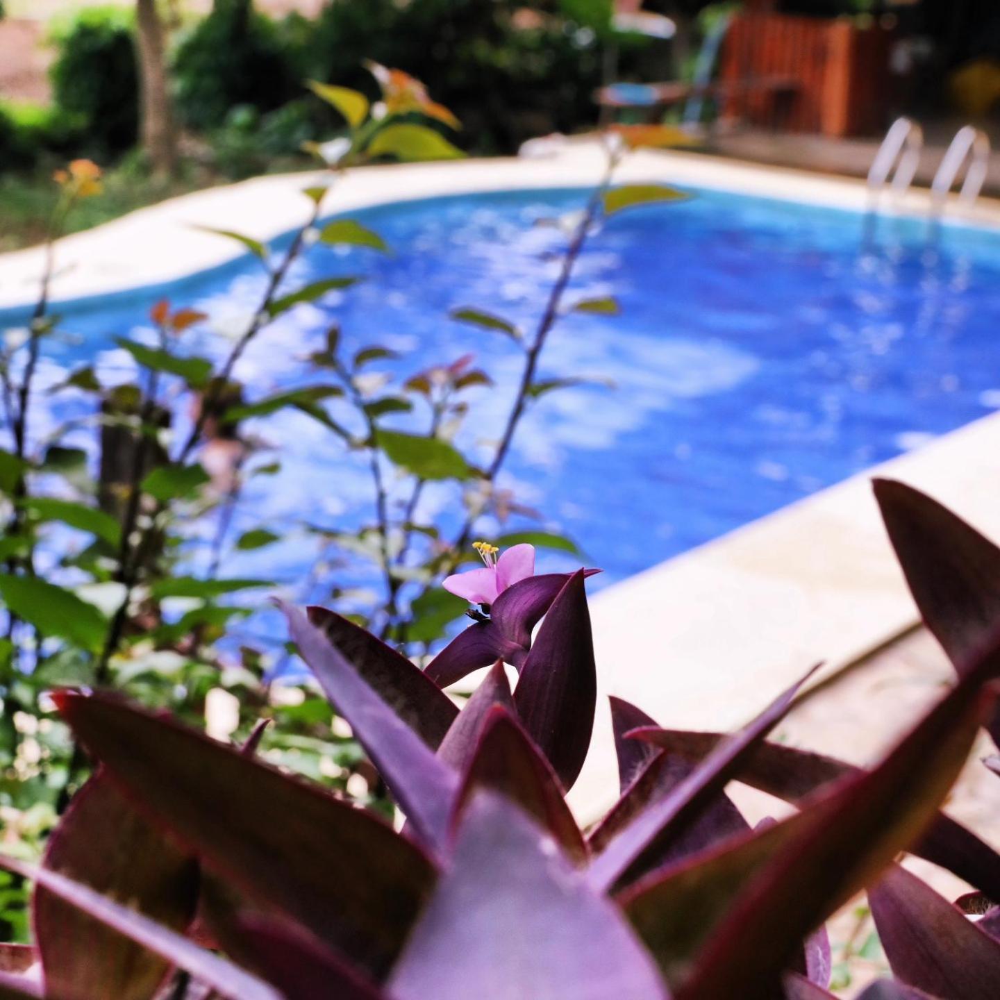 Lobo Hostel - Rurrenabaque (Adults Only) Εξωτερικό φωτογραφία