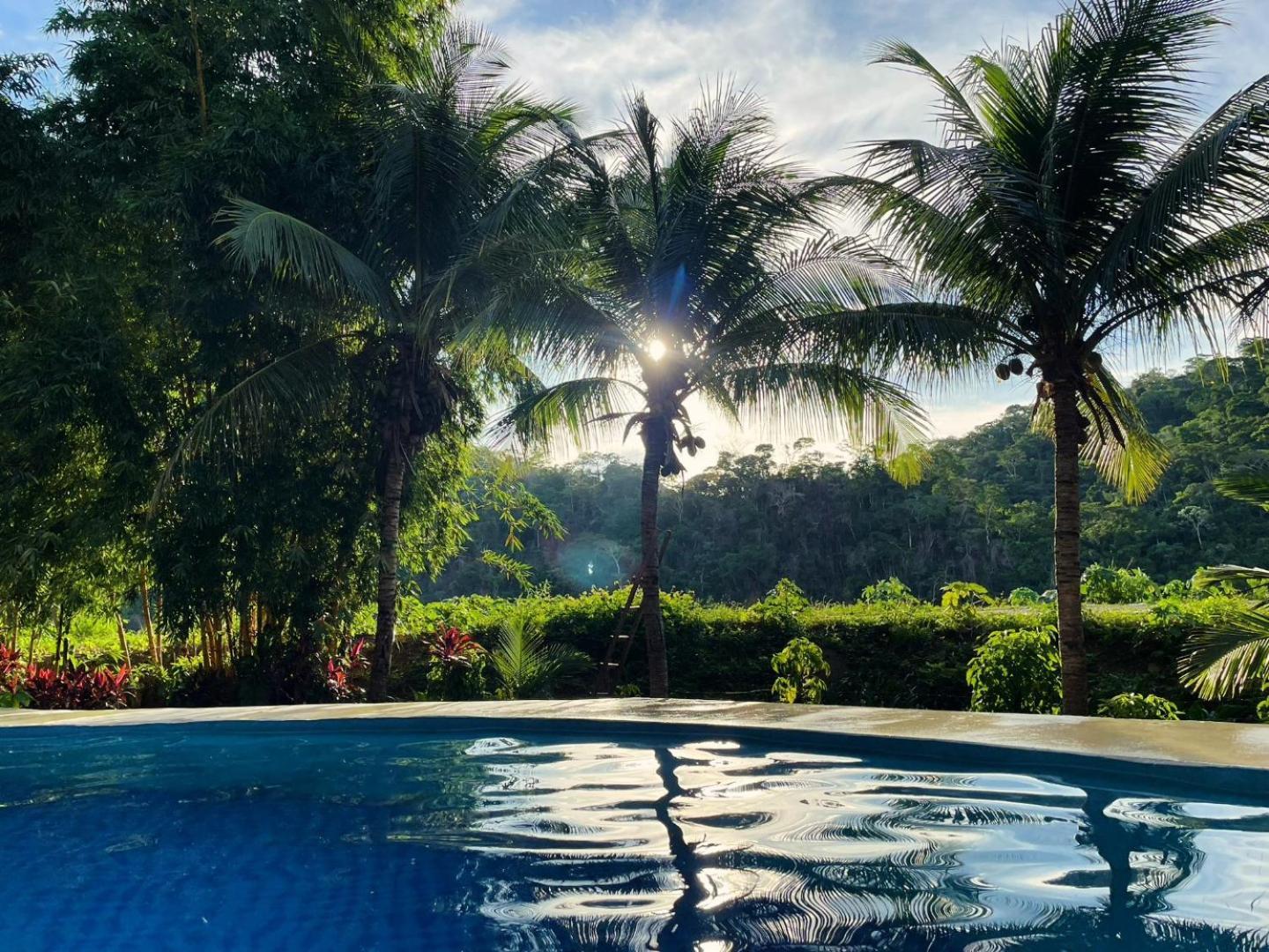 Lobo Hostel - Rurrenabaque (Adults Only) Εξωτερικό φωτογραφία